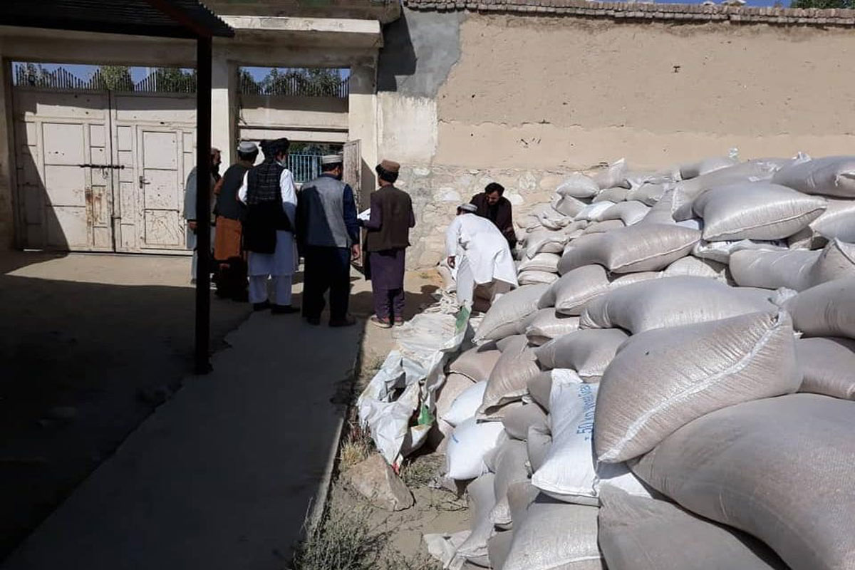 وکلای غزنی از افتادن 180 تن گندم از مسیر ولسوالی جاغوری به دست طالبان خبر...